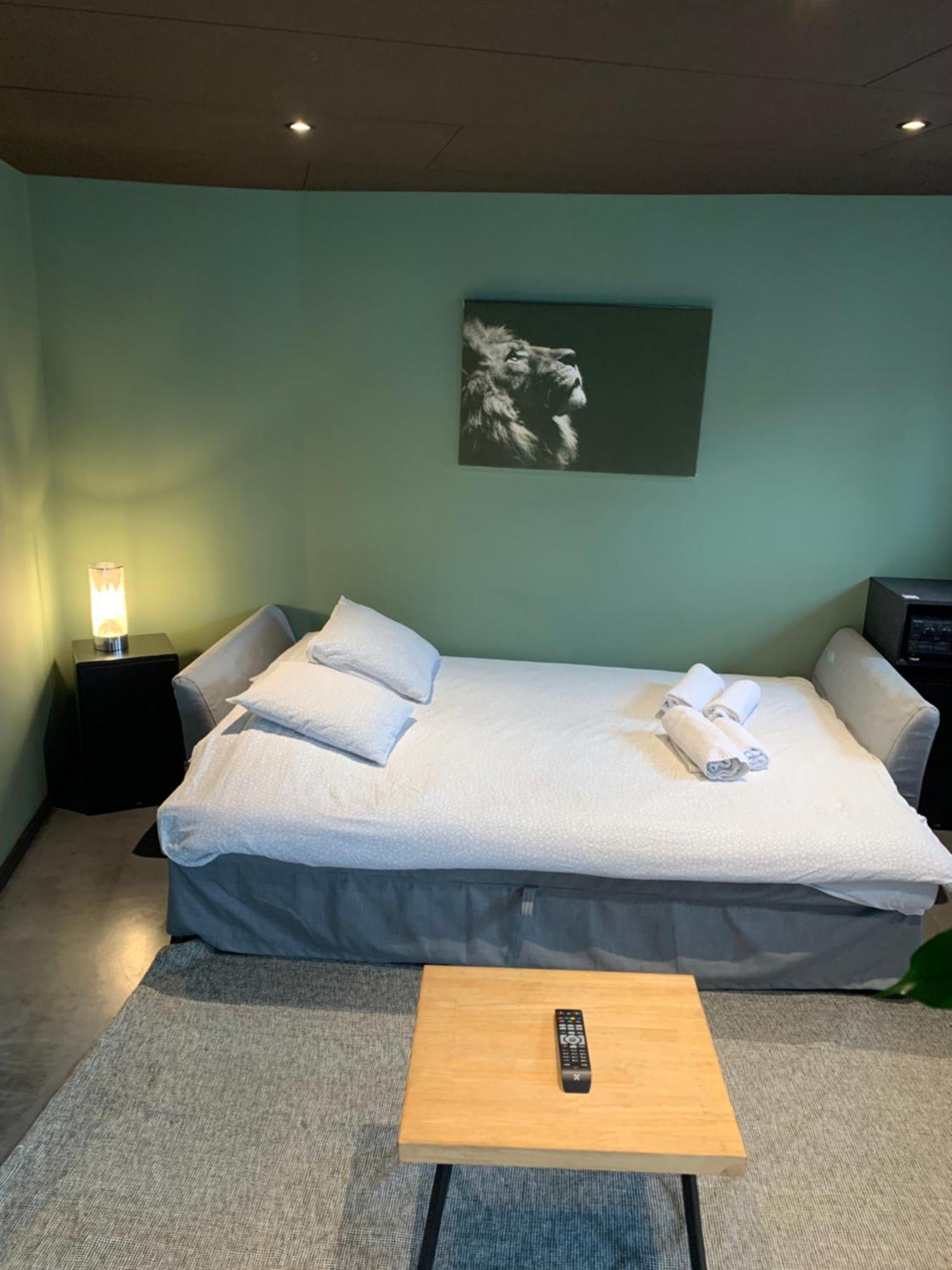 Froissart Loft Et Studio Chimay Esterno foto